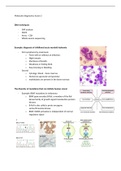 Molecular diagsnostics Course BM10
