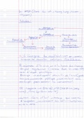 cour histoire terminal