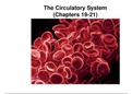 Circulatory system