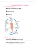 Physical Assessment Week 1 Notes 