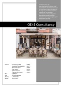 OE41 Consultancy Project (Cijfer 9.1) Business Studies InHolland Jaar 2