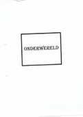 Summary Onderwêreld, ISBN: 9780624046691  afrikaans huistaal