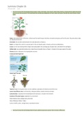 Ls6 Plantbiology Campbell Chapter 35