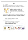Samenvatting immunochemie - celcultuur en immunochemie