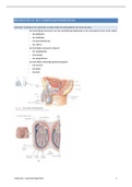 keypoints voortplantingsstelsel