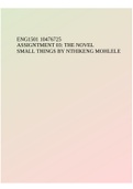 ENG1501 10476725 ASSIGNTMENT 03: THE NOVEL SMALL THINGS BY NTHIKENG MOHLELE