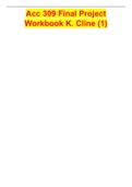 Acc 309 Final Project Workbook K&period; Cline &lpar;1&rpar;