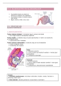 Anatomie bloedvaten en bloeddruk