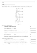 Essentials of Human Anatomy and Physiology, Marieb - Exam Preparation Test Bank (Downloadable Doc)