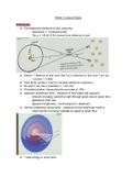 Highlights of Astronomy Week 5 Lecture Notes