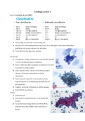 Cytologie samenvatting M-DHC