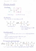 Summary of Amino Acids