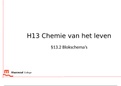 Powerpoint 13.2 Blokschema's 5 HAVO scheikunde chemie overal