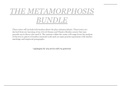 The metamorphosis bundle 