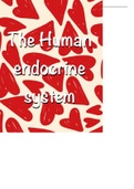 Human endocrine system Gr 12 IEB & DBE notes 