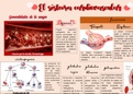Sistema cardiovascular (Generalidades)