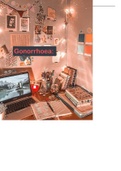 Latest Preview Thumbnail