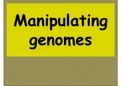 Revision Powerpoint on Manipulating genomes OCR A level Biology 2015