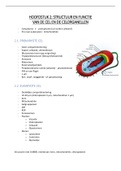 Samenvatting  Hoofdstuk 2 Celbiologie en biochemie (G0M65a)