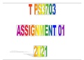 TPS3703 assignment 01 - 2021  100% marked with answers