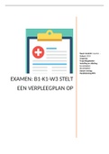 Examen&colon; B1-K1-W3 Stelt een verpleegplan op