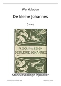 Boekverslag Nederlands De kleine Johannes