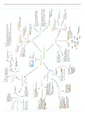 Earth's Life Support Systems Case Study Mindmaps