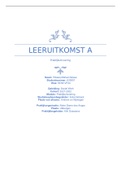 Leeruitkomst A (LUK-A). Social Work HAN 3e leerjaar.