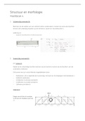 structuur en morfologie H4 samenvatting&period; 