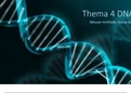 PowerPoint+ aantekeningen thema 4 DNA Biologievoorjou VWO 5 Deel 2