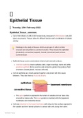 Lecture notes HUB2019F - Epithelial Tissue
