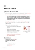 Lecture notes HUB2019F - Muscle Tissue