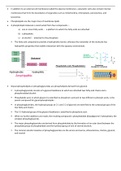 Biochemistry Notes 