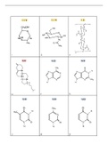 Biochemie van de Huisdieren I: flashcards te HERkennen structuren (print-friendly)