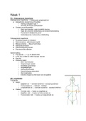 WDD-1 Samenvatting Week 1-8 compleet