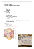 Module 3 en 4 fysiologie samenvattingen