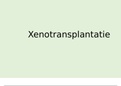 powerpoint betoog xenotransplantatie