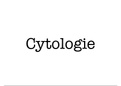 Cythologie-Zusammenfassung