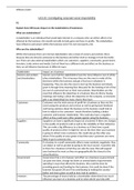 BTEC Business Level 3, Unit 17, Digital Marketing, Assignment 2,(Distinction)