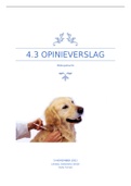 blokopdracht 4&period;3 opinieverslag