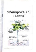 3.1.3 Transport in Plants