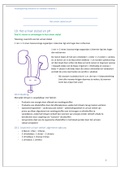 Samenvatting urinair stelsel en pH