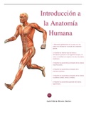Tema 1: Introducción a la anatomía