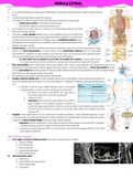 Resumen de clase COMPLETO: Medula Espinal.  Curso Fisiología I - Medicina - Universidad ICESI