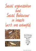 Social Behaviour OF INSECTS