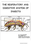 Respiratory and digestive system OF INSECTS