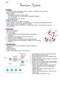 3.2.4 Immune System notes