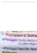 Flashcards de Antígenos e Inmunógenos 