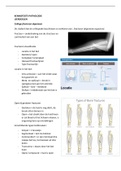 Samenvatting  Pathologie Orthopedie K2