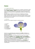 4vwo Biologie planten, 10 voor biologie